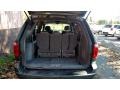 Chrysler Town & Country Limited Magnesium Pearl photo #16