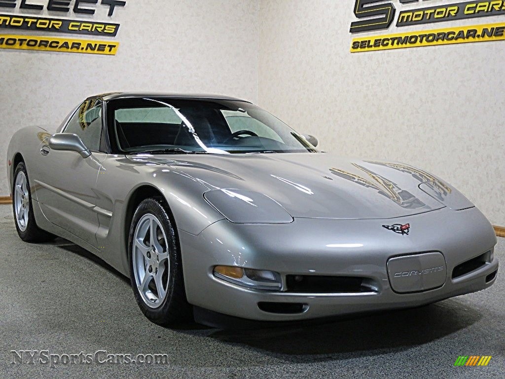 2000 Corvette Coupe - Light Pewter Metallic / Black photo #3