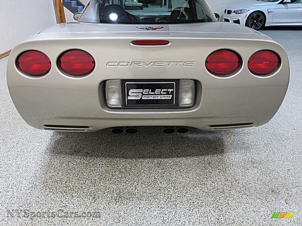 2000 Corvette Coupe - Light Pewter Metallic / Black photo #5