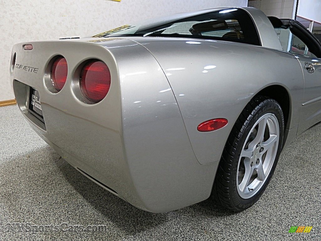 2000 Corvette Coupe - Light Pewter Metallic / Black photo #8