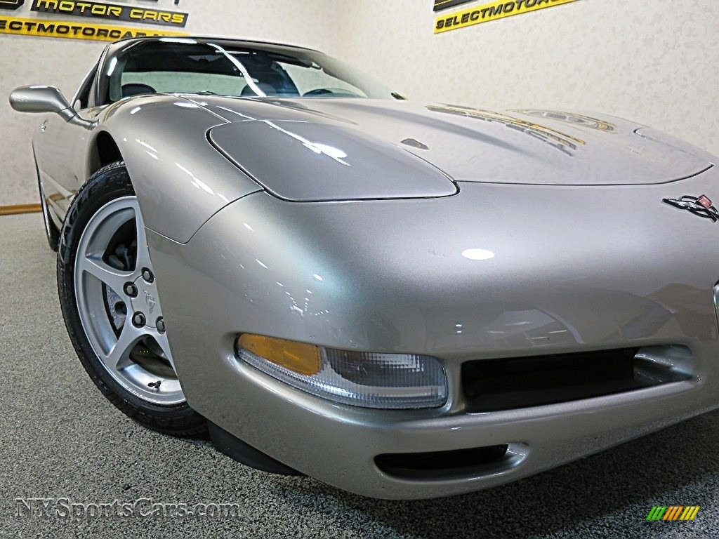 2000 Corvette Coupe - Light Pewter Metallic / Black photo #9