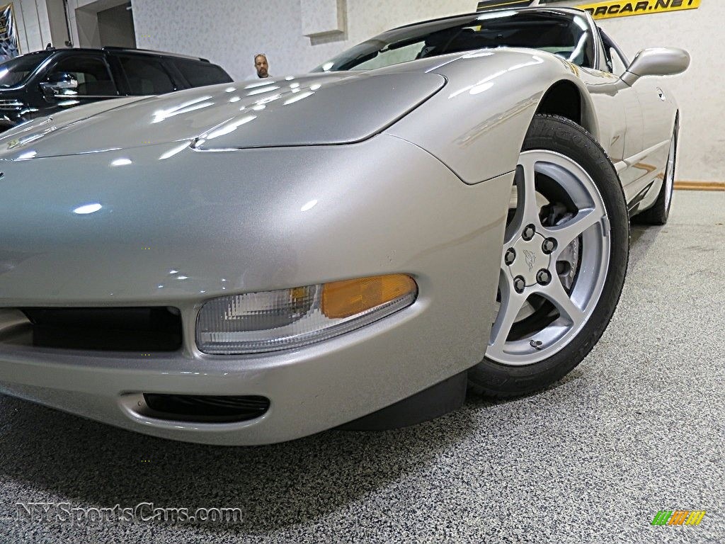 2000 Corvette Coupe - Light Pewter Metallic / Black photo #10