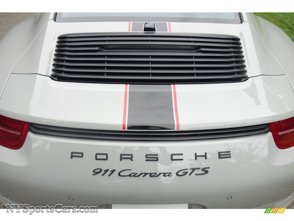 2016 911 Carrera GTS Rennsport Edition Coupe - Fashion Grey, Paint to Sample / Black photo #11