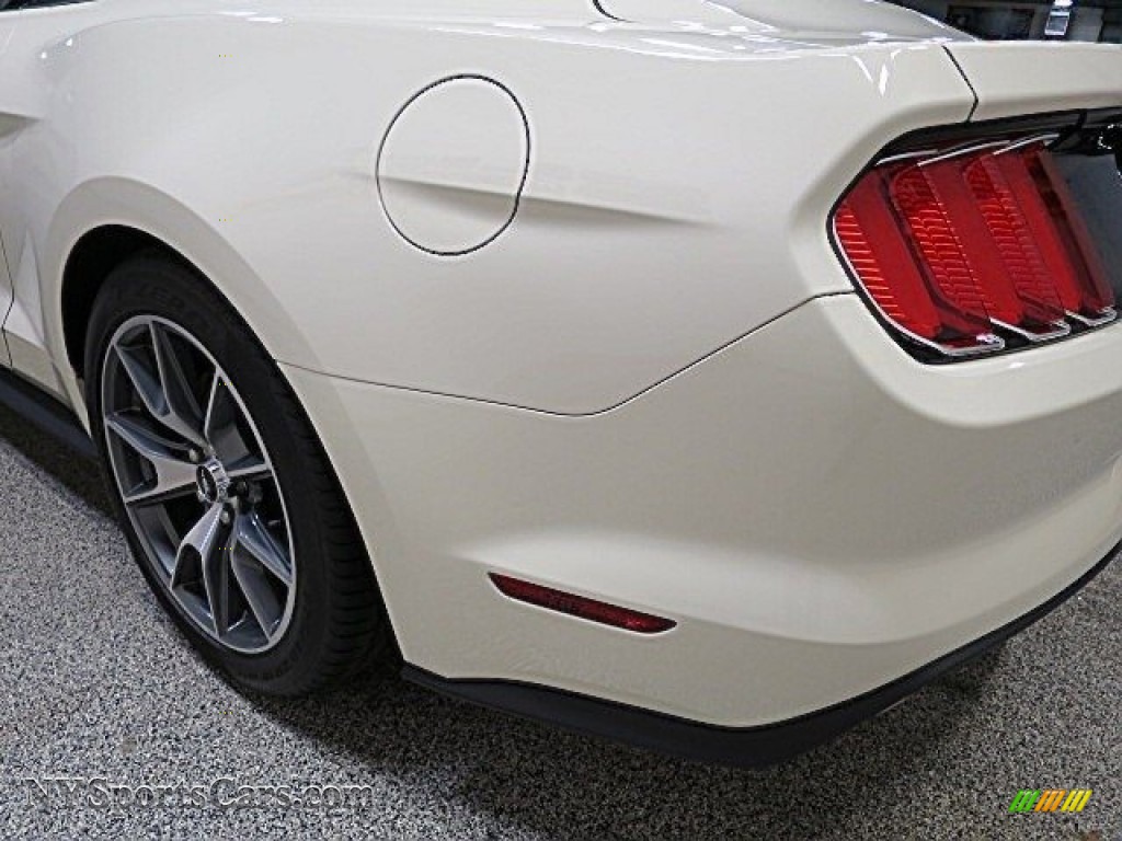 2015 Mustang 50th Anniversary GT Coupe - 50th Anniversary Wimbledon White / 50th Anniversary Cashmere photo #13