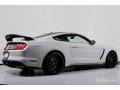 Ford Mustang Shelby GT350R Avalanche Gray photo #12