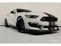 Ford Mustang Shelby GT350R Avalanche Gray photo #32