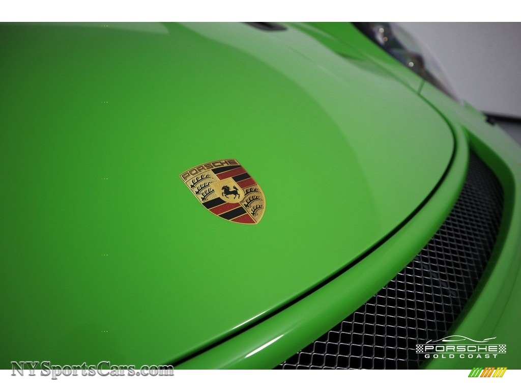 2019 911 GT3 RS - Lizard Green / Black/Lizard Green photo #38