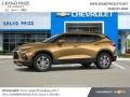 Chevrolet Blazer 2.5L Cloth Sunlit Bronze Metallic photo #3