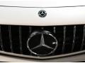 Mercedes-Benz AMG GT Roadster designo Diamond White Metallic photo #14
