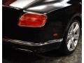 Bentley Continental GT  Beluga photo #6