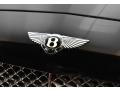 Bentley Continental GT  Beluga photo #9