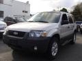 Ford Escape XLT 4WD in Silver Metallic