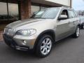 BMW X5 4.8i in Platinum Bronze Metallic
