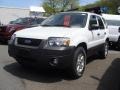 Ford Escape XLT V6 4WD in Oxford White