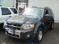 Ford Escape Limited 4WD in Black Pearl Slate Metallic