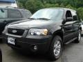 Ford Escape XLT V6 4WD in Black