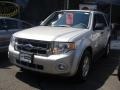 Ford Escape XLT V6 4WD in Silver Metallic