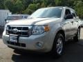 Ford Escape XLT V6 4WD in Light Sage Metallic