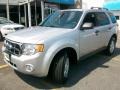 Ford Escape XLT V6 4WD in Ingot Silver Metallic
