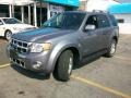 Ford Escape Limited 4WD in Tungsten Grey Metallic