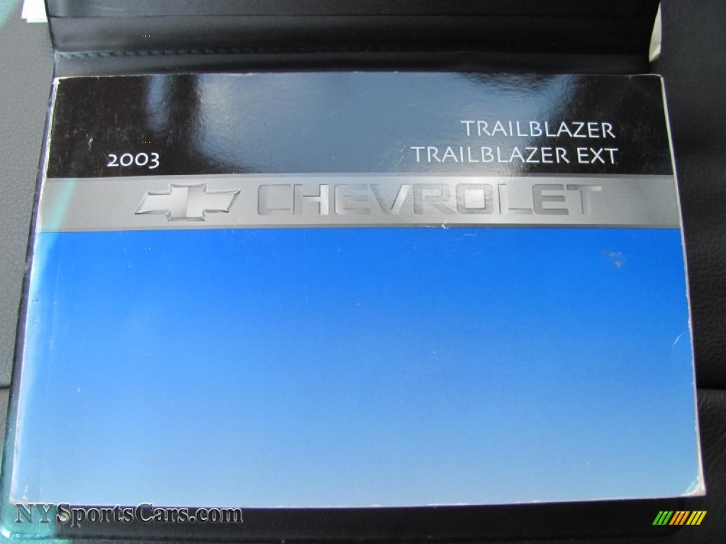 2003 TrailBlazer EXT LT 4x4 - Light Pewter Metallic / Medium Pewter photo #5