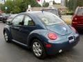 Volkswagen New Beetle GLS Coupe Riviera Blue Pearl photo #12