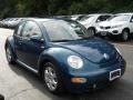 Volkswagen New Beetle GLS Coupe Riviera Blue Pearl photo #14