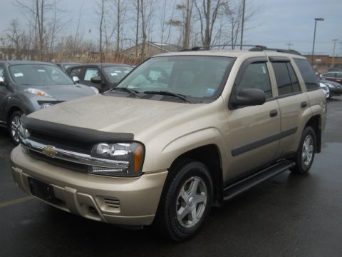 Sandstone Metallic 2005 Chevrolet TrailBlazer LS 4x4