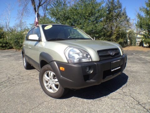 Sahara Silver 2006 Hyundai Tucson GLS V6 Sahara Silver 2006 Hyundai Tucson GLS V6