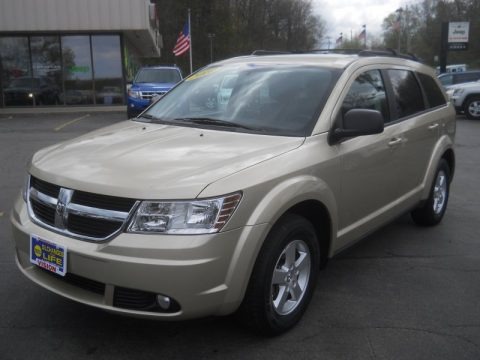 White Gold 2010 Dodge Journey SE White Gold 2010 Dodge Journey SE
