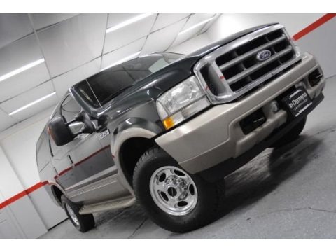 Aspen Green Metallic 2004 Ford Excursion Eddie Bauer 4x4
