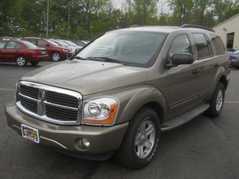 Mineral Gray Metallic 2005 Dodge Durango Limited 4x4