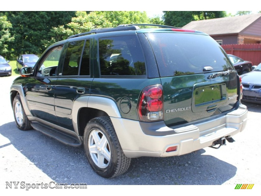 2002 TrailBlazer LTZ 4x4 - Forest Green Metallic / Dark Pewter photo #15