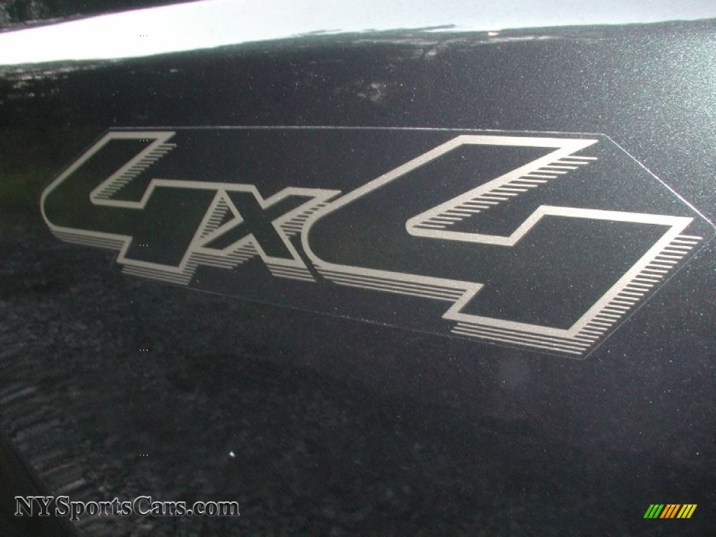2005 F250 Super Duty XLT Regular Cab 4x4 - Dark Green Satin Metallic / Tan photo #27