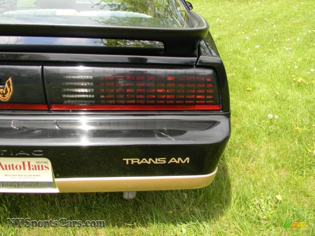 1986 Firebird Trans Am - Black Sapphire / Grey photo #35