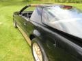 Pontiac Firebird Trans Am Black Sapphire photo #43