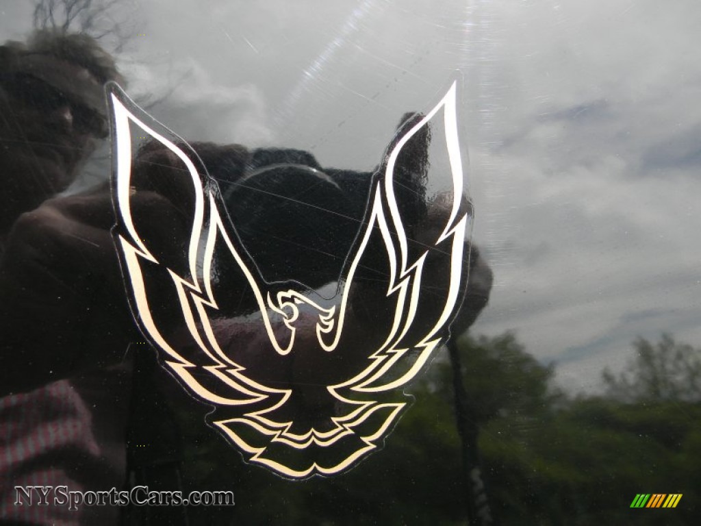 1986 Firebird Trans Am - Black Sapphire / Grey photo #50