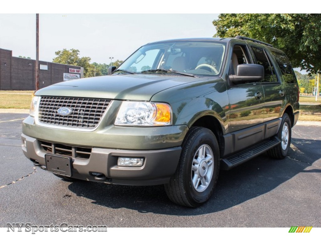 2005 Ford Expedition XLT 4x4 in Estate Green Metallic photo 8 A95380