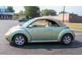 Volkswagen New Beetle 2.5 Convertible Gecko Green Metallic photo #3