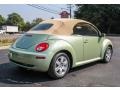 Volkswagen New Beetle 2.5 Convertible Gecko Green Metallic photo #6