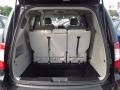Chrysler Town & Country Touring Blackberry Pearl photo #13