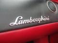 Lamborghini Murcielago LP640 Roadster Matte Black photo #34